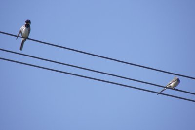 DSCF6672.JPG