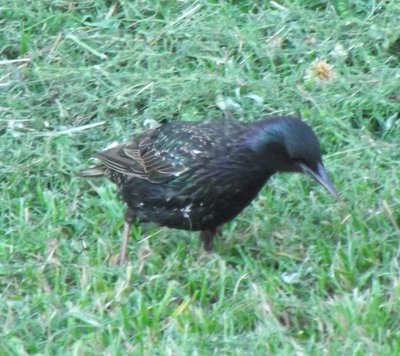 DSCF6856.JPG