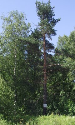 DSCF6697.JPG