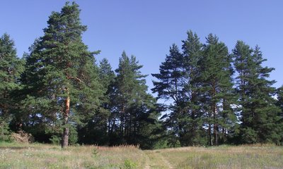 DSCF7234.JPG