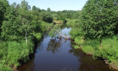 DSCF6665.JPG