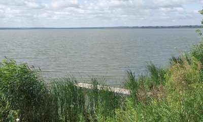 DSCF6388.JPG