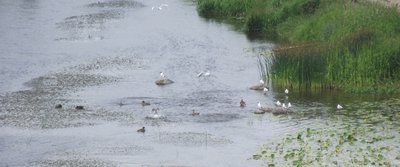 DSCF6346.JPG