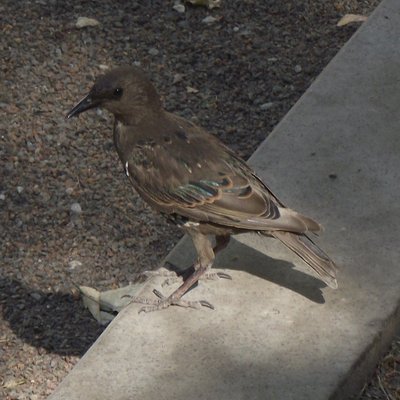 DSCF7548.JPG