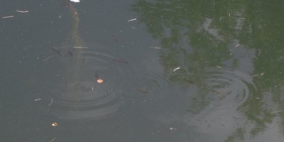 DSCF7460.JPG