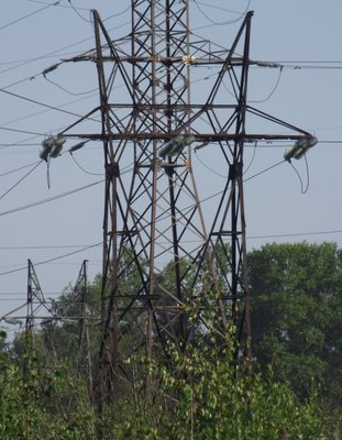 DSCF6928.JPG