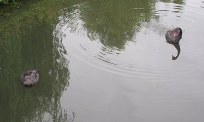 DSCF7757.JPG