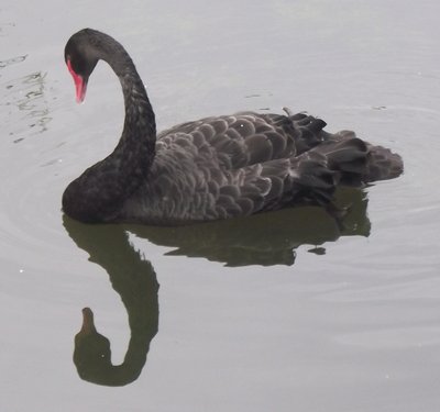 DSCF7758.JPG