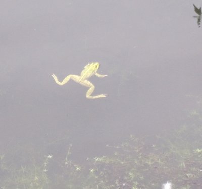 DSCF7759.JPG