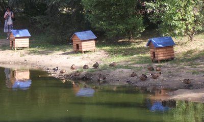 DSCF7814.JPG