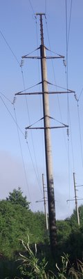 DSCF6651.JPG