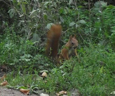DSCF7880.JPG
