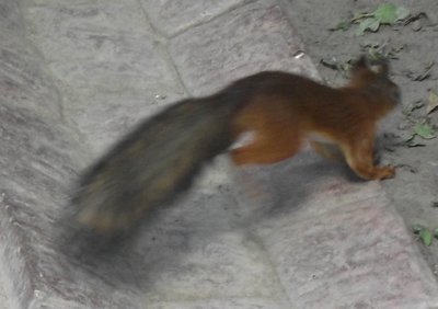 DSCF7881.JPG