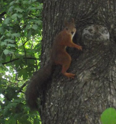 DSCF7883.JPG