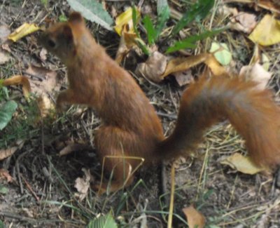DSCF7884.JPG