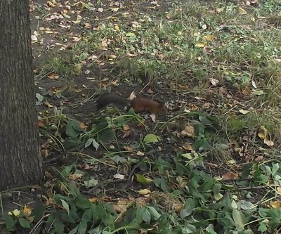DSCF7886.JPG