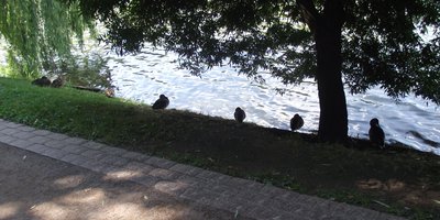 DSCF7889.JPG