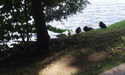 DSCF7890.JPG