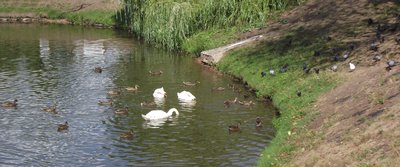 DSCF7896.JPG