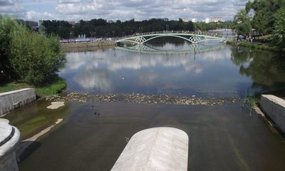 DSCF7898.JPG