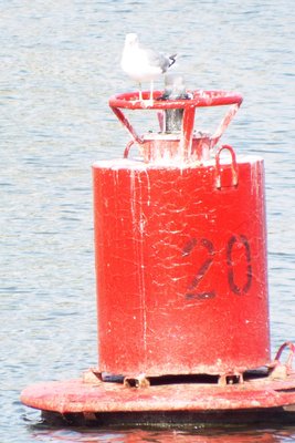 DSCF8235.JPG