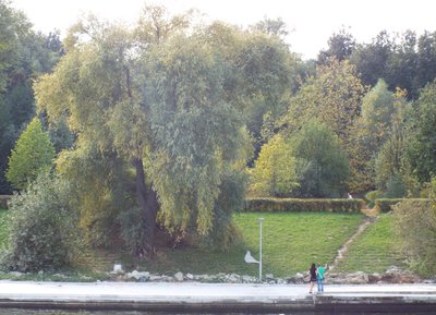 DSCF8295.JPG
