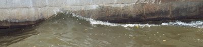DSCF8283.JPG