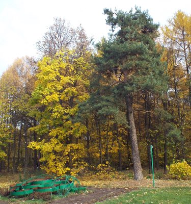 DSCF8600.JPG