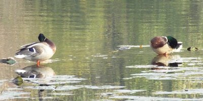 DSCF8567.JPG