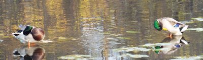 DSCF8569.JPG