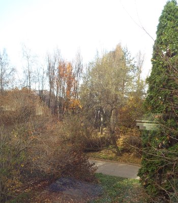 DSCF8642.JPG