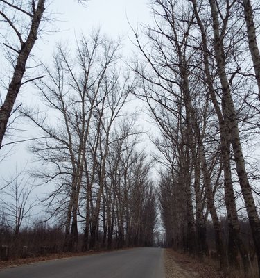 DSCF8662.JPG