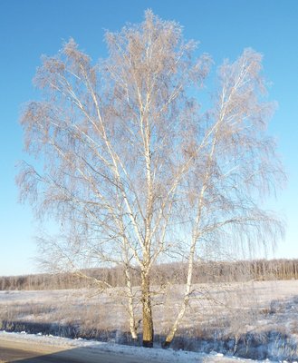 DSCF8904.JPG