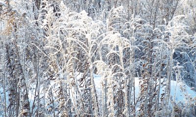 DSCF8915.JPG