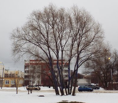 DSCF9024.JPG