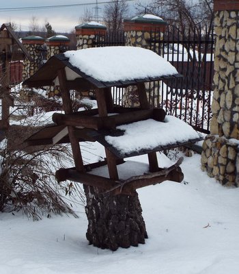 DSCF9028.JPG