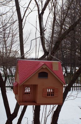 DSCF9071.JPG