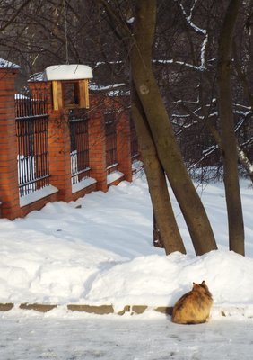 DSCF9399.JPG
