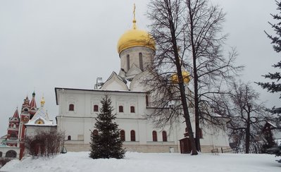 DSCF9476.JPG