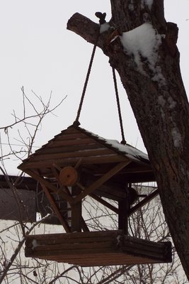 DSCF9481.JPG