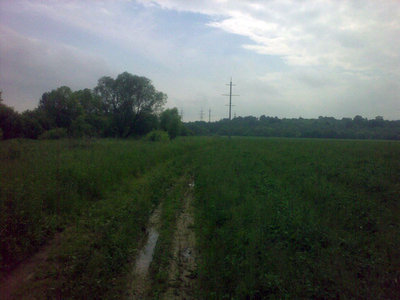 107.jpg