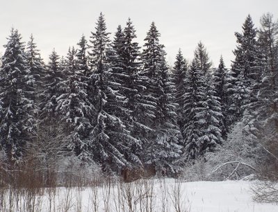DSCF9757.JPG
