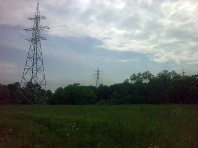 110.jpg