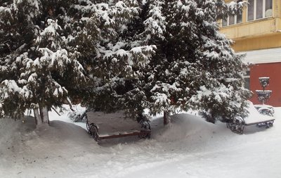 DSCF9785.JPG