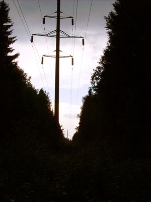 133.JPG