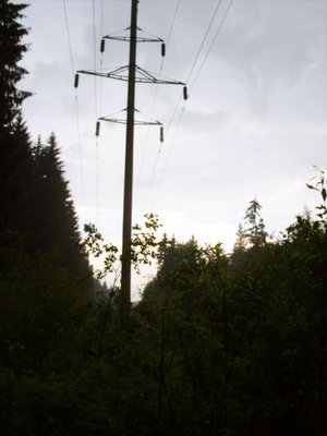 136.JPG