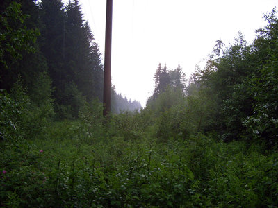137.JPG