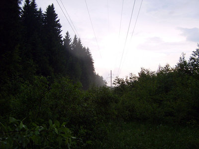 141.JPG