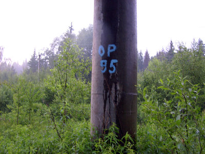 145.JPG