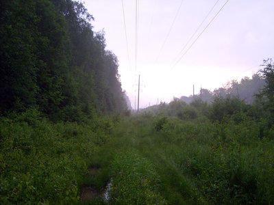 155.JPG